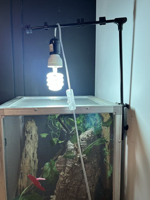 Terrarium dla gadów, kameleona