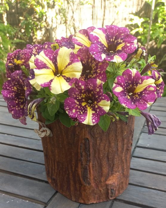 Vaso muito bonito para plantas ou balde para gelo, novo, sem etiquetaa