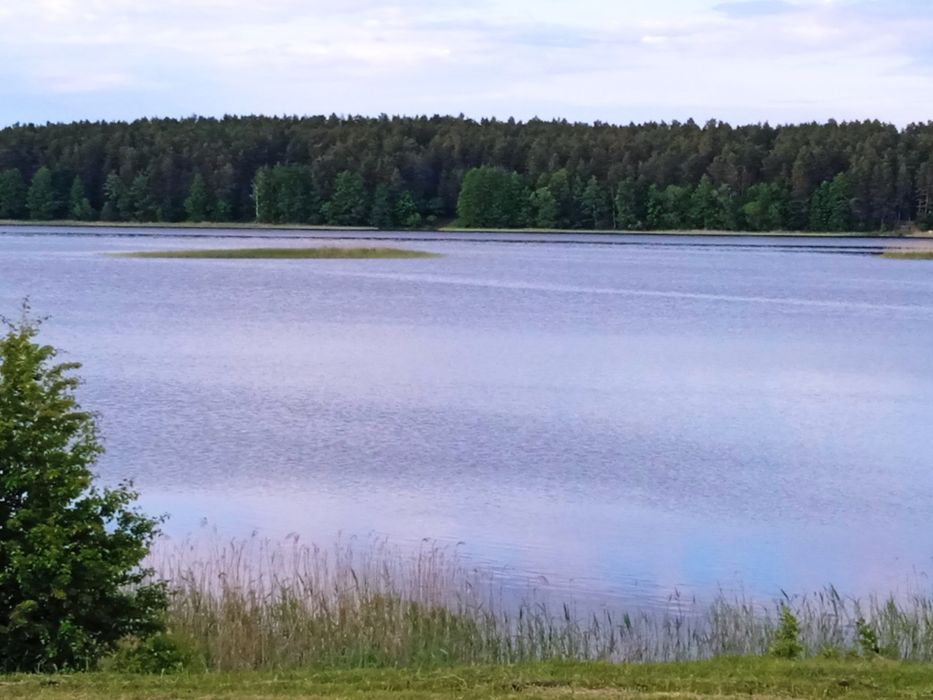 Działka nad jeziorem