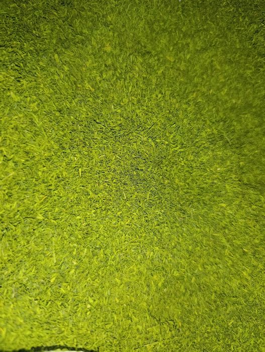 Продам сушений кріп