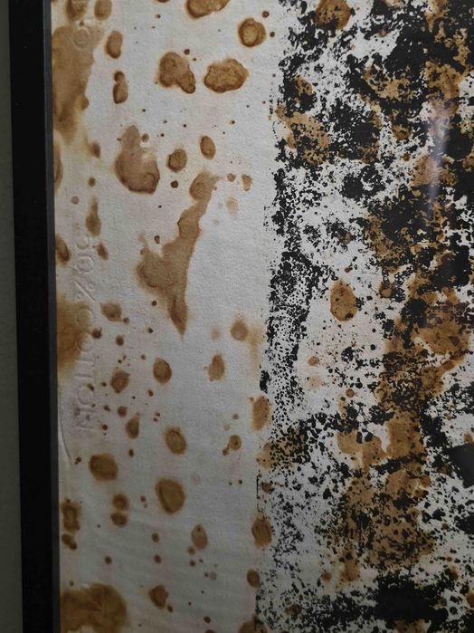 "Sem Título #4" — Gravura e ferrugem sobre papel Fabriano, 70x100 cm