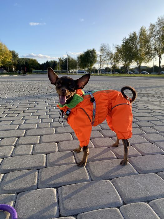 Комбінезон мембранний на флісі, пильник Bark&Go