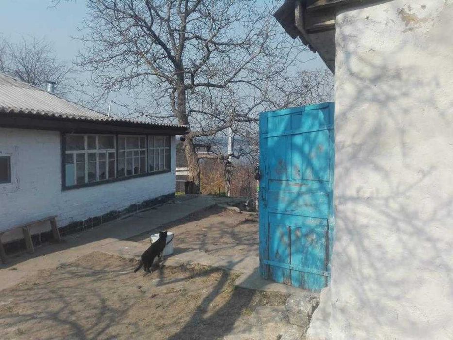 Модульные дома 3 комнаты в Каневскую