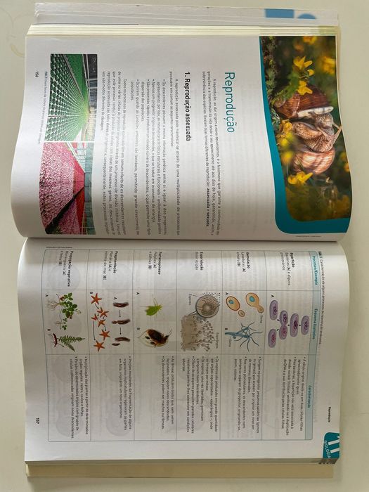 Livro De Preparação Para Exames De Biologia E Geologia 2020