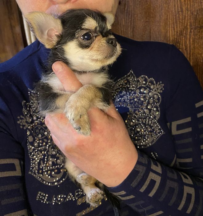 Курносенькая ушастенькая  девочка