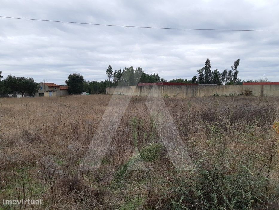 Terreno situado a poucos minutos de Anadia