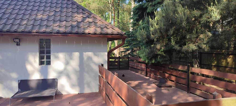 Wakacje dla psa - HOTEL dla psów - Opieka nad psem