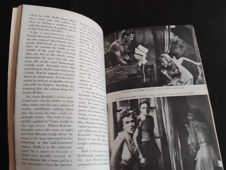 Clark Gable, Marilyn Monroe, Marlon Brando | biografias ilustradas