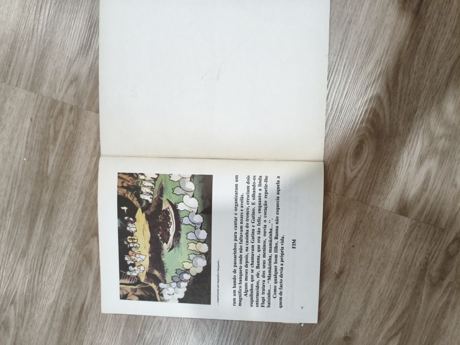 Livro de BD Banna e Flapi