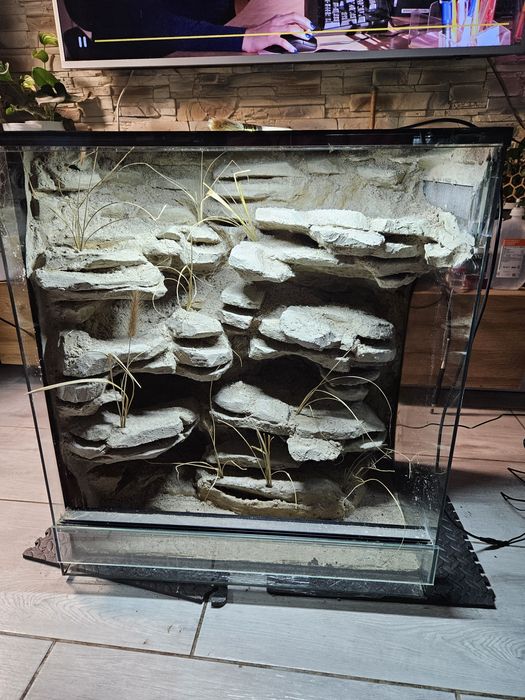 Terrarium pustynne gekon lamparci eublefar