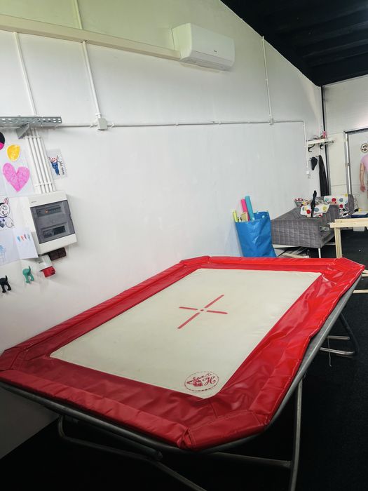 Trampolina rehabilitacyjna / akrobatyczna