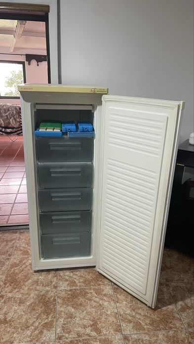 Arca congeladora vertical Jocel