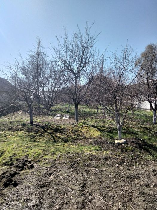 Продам будинок в селі Тополі Козелецького району Чернігівської області