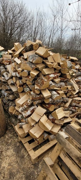 Drewno Kominkowe Brzoza