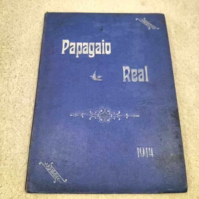 PAPAGAIO REAL (de coleção raro)