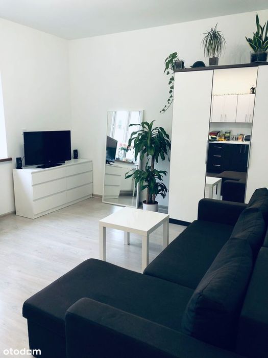 Dwupokojowe mieszkanie z ogródkiem Rzeszów centrum ul. Lenartowicza