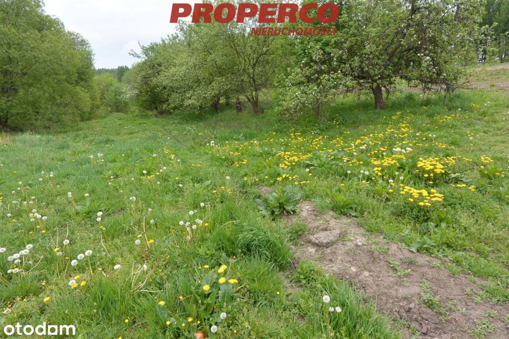 Działka 1600 m2, Cisów, gm. Daleszyce