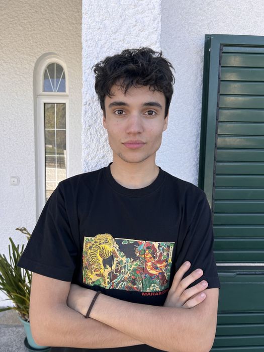 Dois jovens para biscastes diversos em Viseu-Babysitting/petsitting