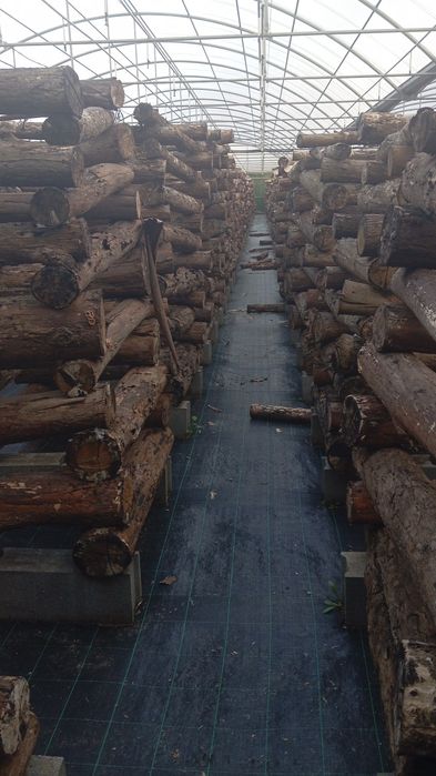 LENHA (tonelada) para queimar na Lareira  ou Salamandra ou Forno......