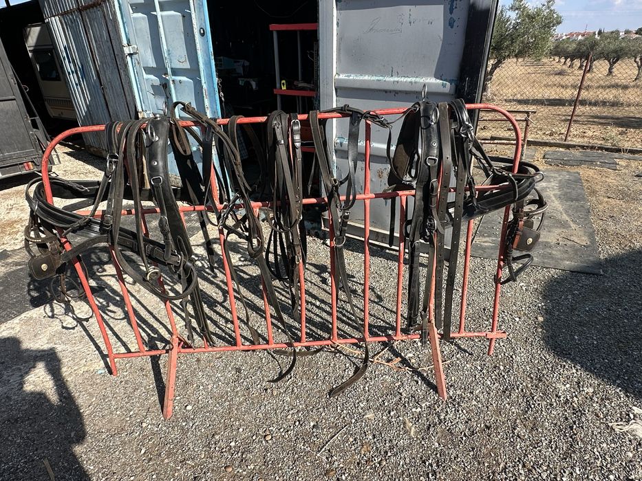 Arreio de parelha para engatar cavalos (atrelagem)