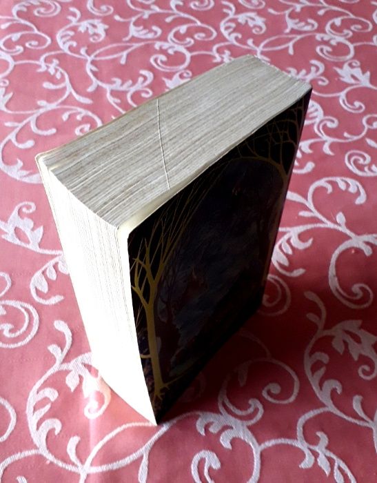 J R R Tolkien - Senhor dos Anéis - Unwin Paperbacks PB 1979