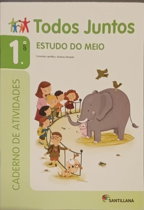 Livros, fichas, cartazes e suportes escolares 1 ano