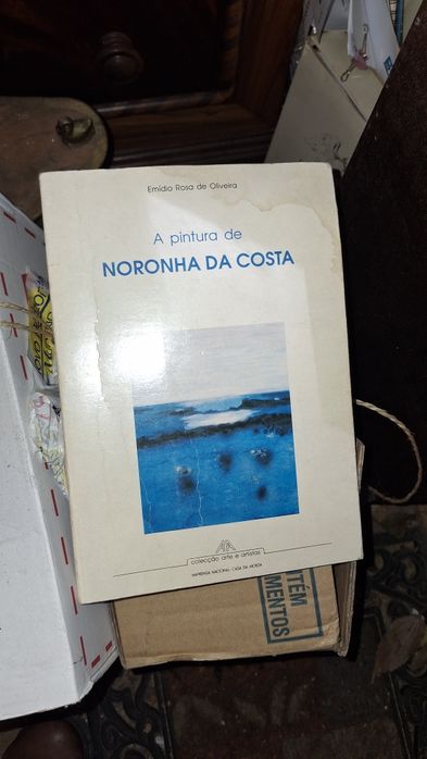 A pintura Noronha Costa Emidio Rosa Oliveira  assinado