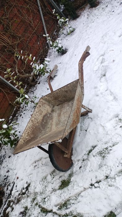 Taczka budowlana solidna