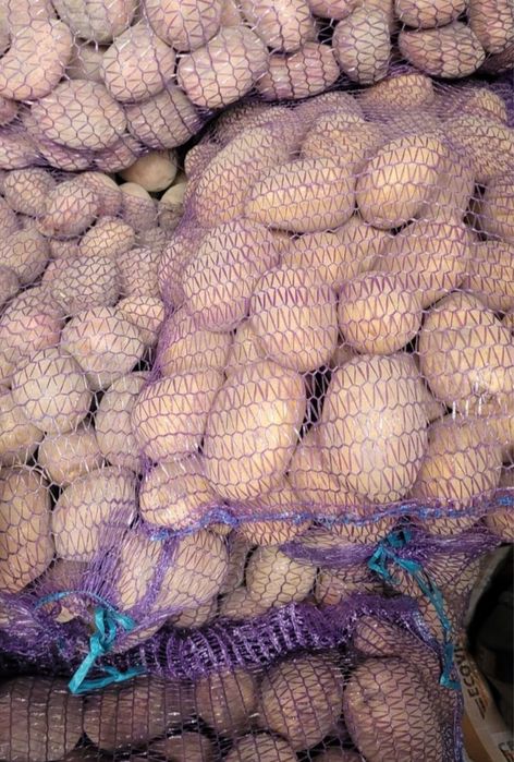 Продам картоплю