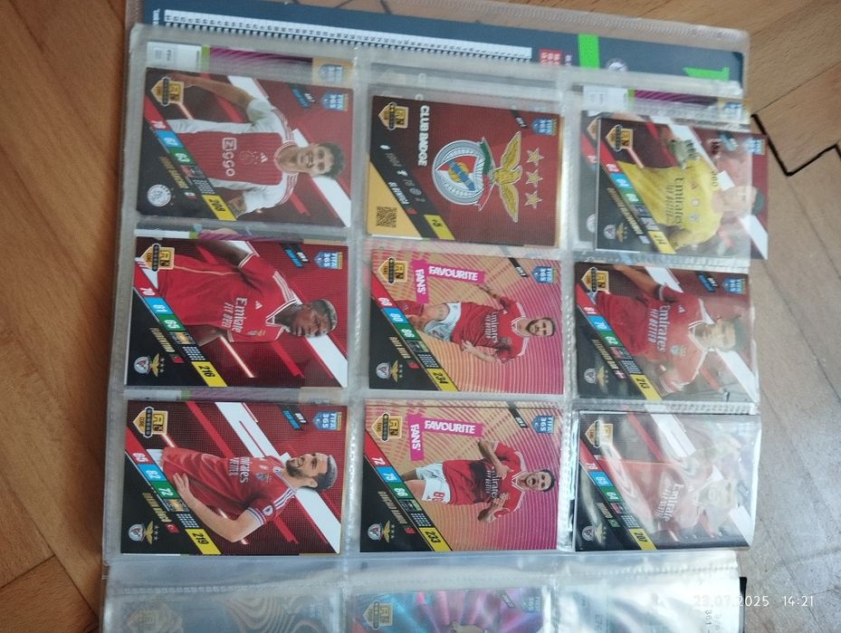 Sprzedam album i karty piłkarskie