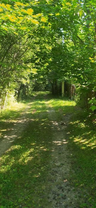 Земельна ділянка з літнім будинком в с.Павлівка