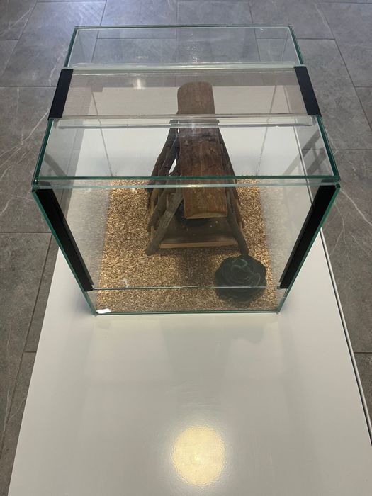 Terrário em vidro 30x30x30