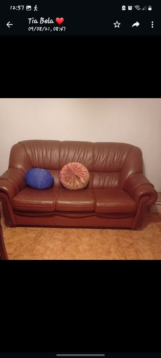 Sofás castanhos em pele