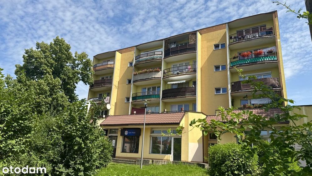 Mieszkanie 2 pokoje| II piętro|duża loggia świetny układ|Czarnieckiego