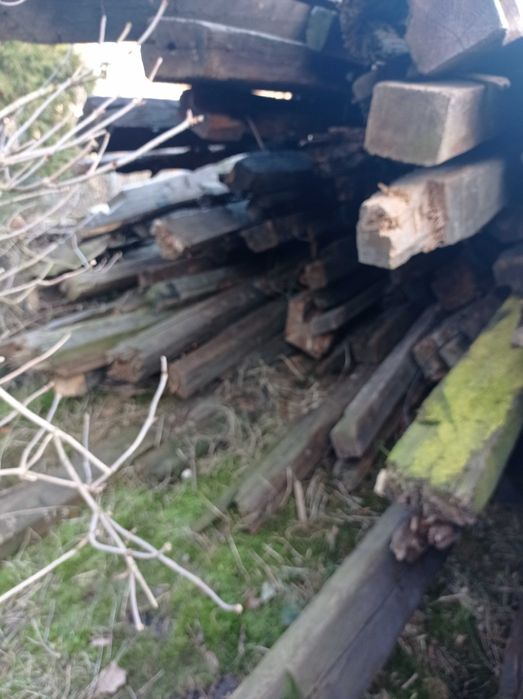 Stare belki drzewo konstrukcyjne Tanio