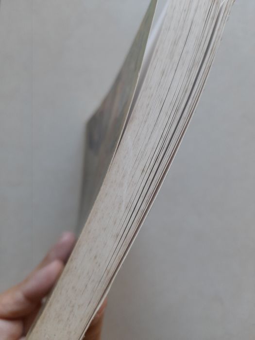 Livro "O médico de Lhasa"