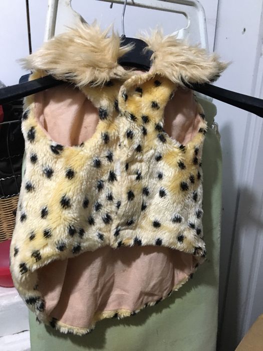 Coletinho fashion e quentinho para cachorro pequeno/médio porte