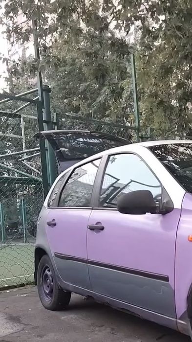 LADA KALINA 1119, 2008р., на ходу, дизайнерская окраска