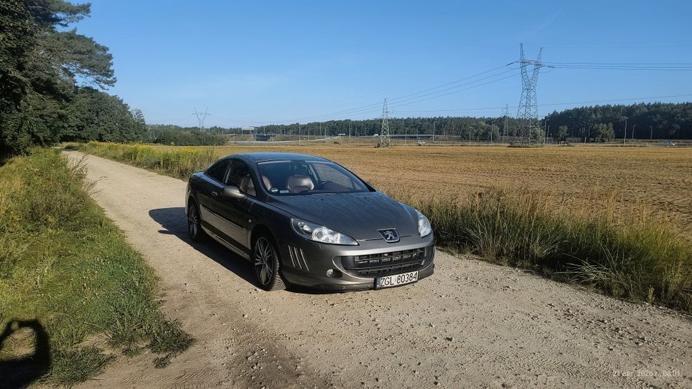 Peugeot 407