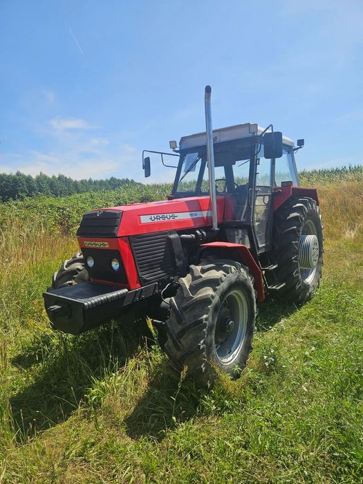 Ursus Ursus Zetor 1614  Ursus1614 po kapitalnym remoncie silnika i skrzyni gotowy do pracy
