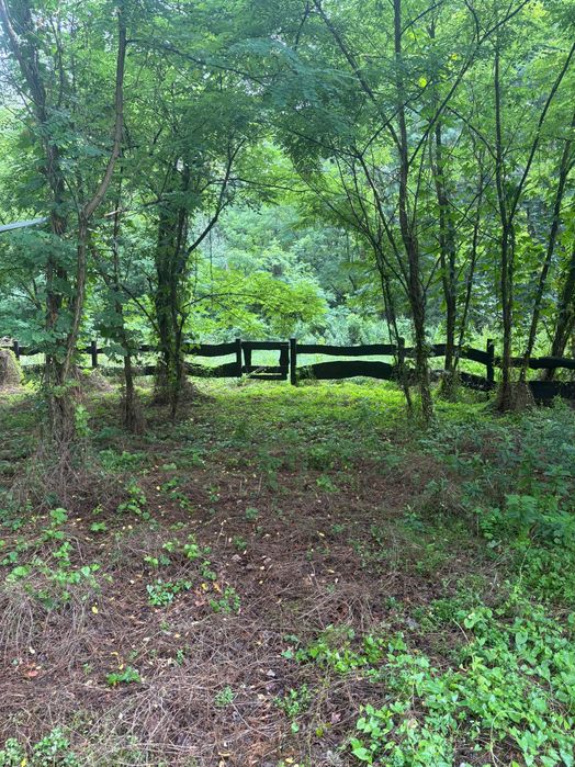 Podgorze gm. Mala wies dzialka nr 0019-65