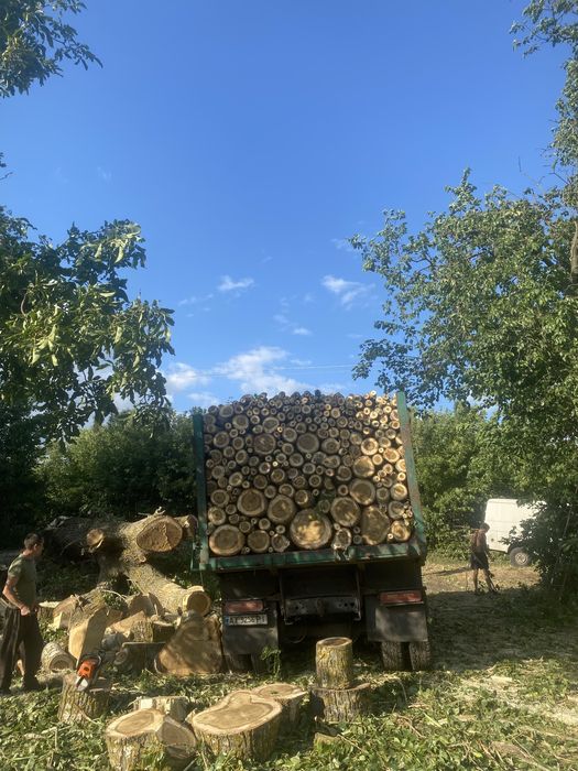 Продам дрова метровка