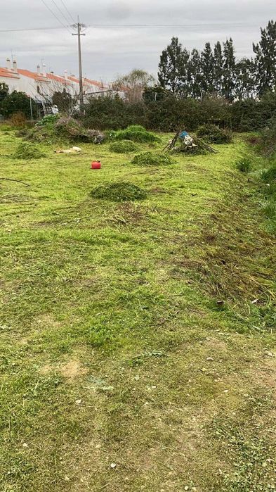 Transporte de entulho.