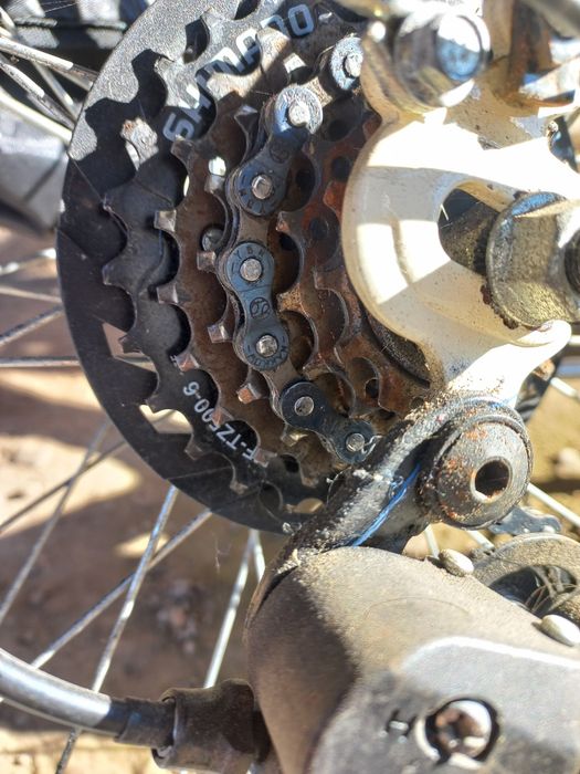 Ровер з італії привезений