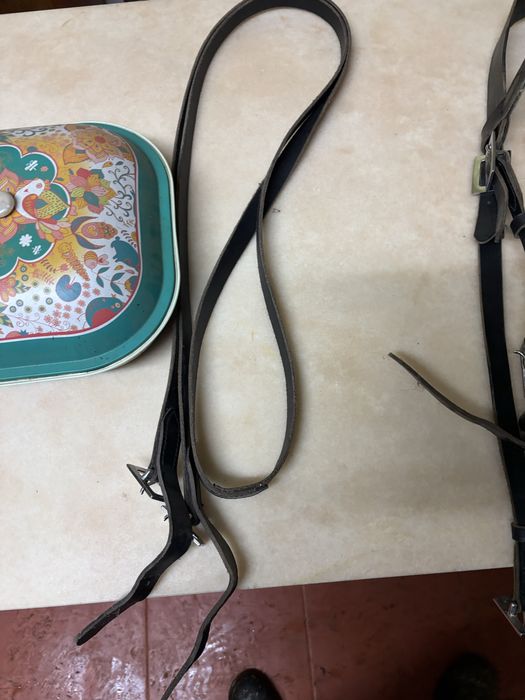 Cabeçada há portuguesa usada 2 vezes