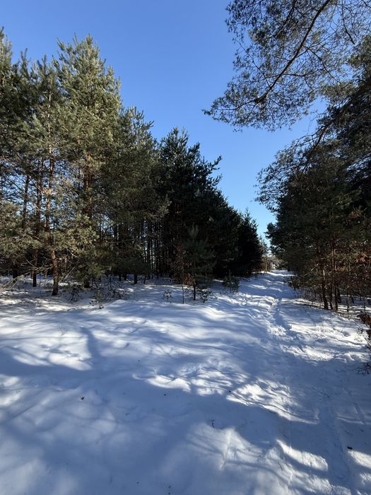 Продаються дві суміжні ділянки 0.15га та 0.2га, с. Лубʼяна