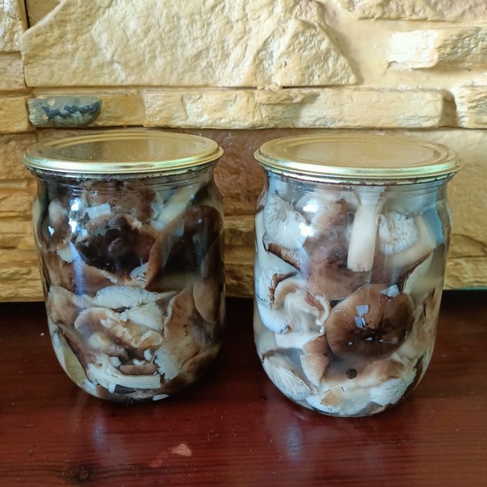 Гриби мариновані. Мариновані підзеленки.