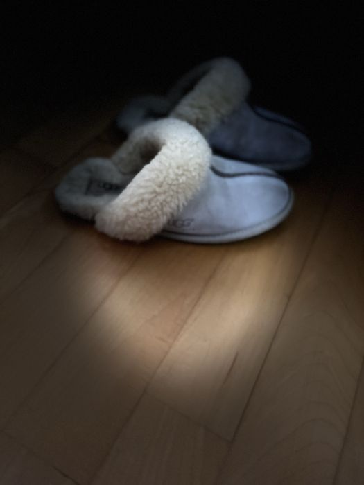 Тапочки тапки Ugg australia