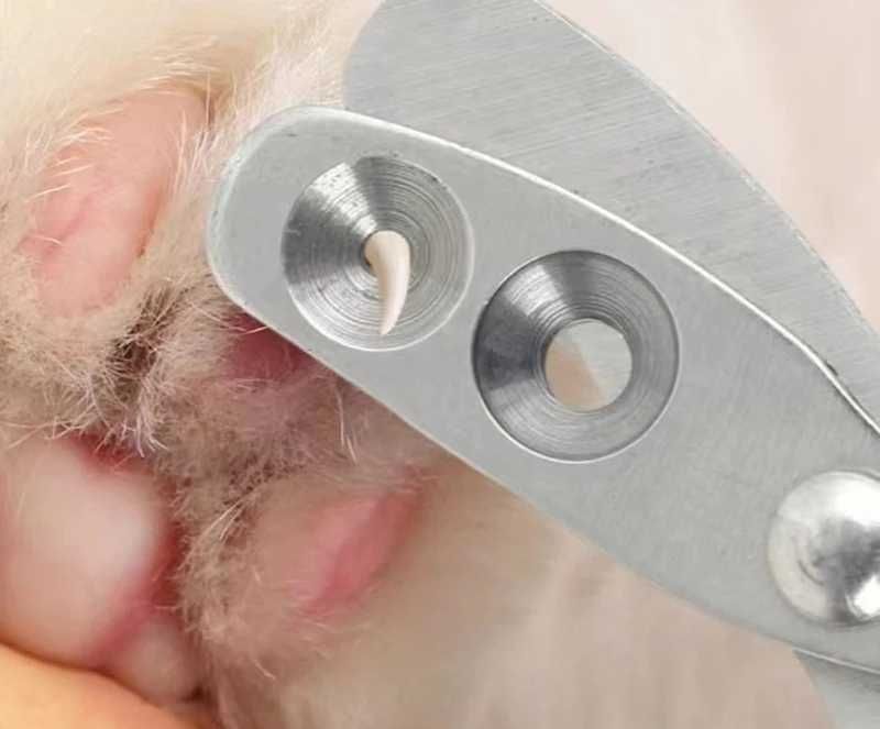 Corta-Unhas Profissional para Gatos e Cães Pequenos Seguro Preciso NOV