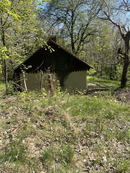 Stary dom z lasem 1,88 ha